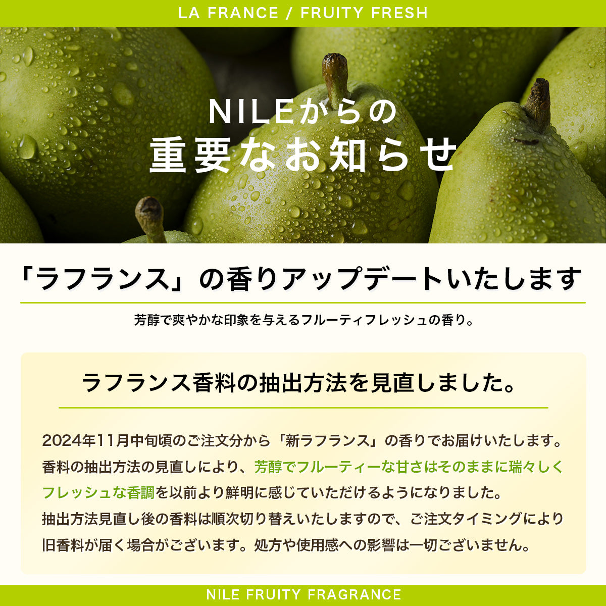 NILE 濃密泡沫頭皮洗頭水 300ml